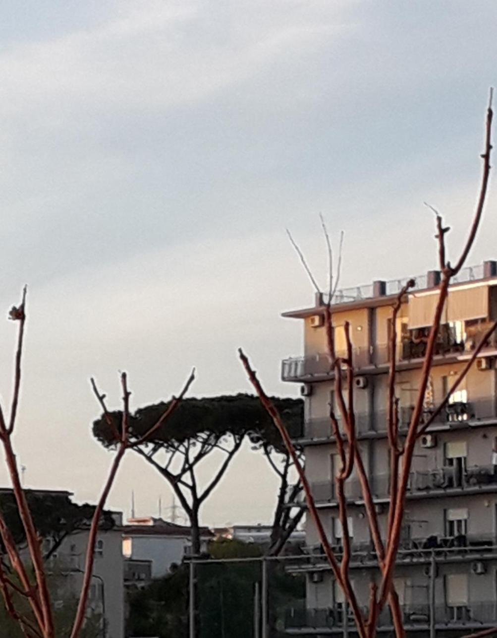 Mare Azzurro Acomodação com café da manhã Torre del Greco Exterior foto